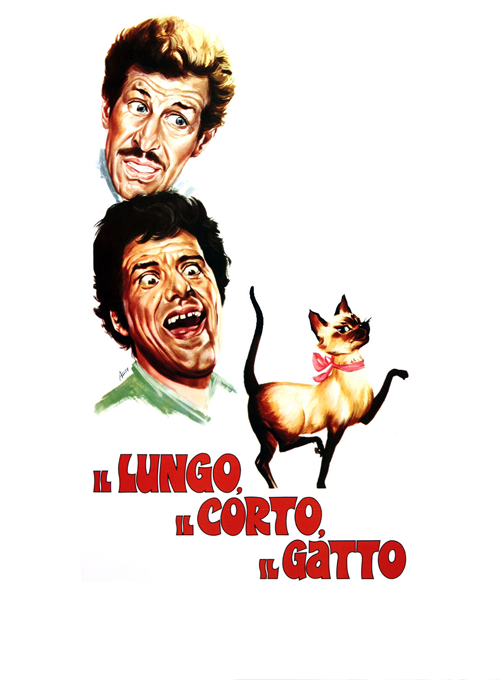 Il lungo, il corto, il gatto
