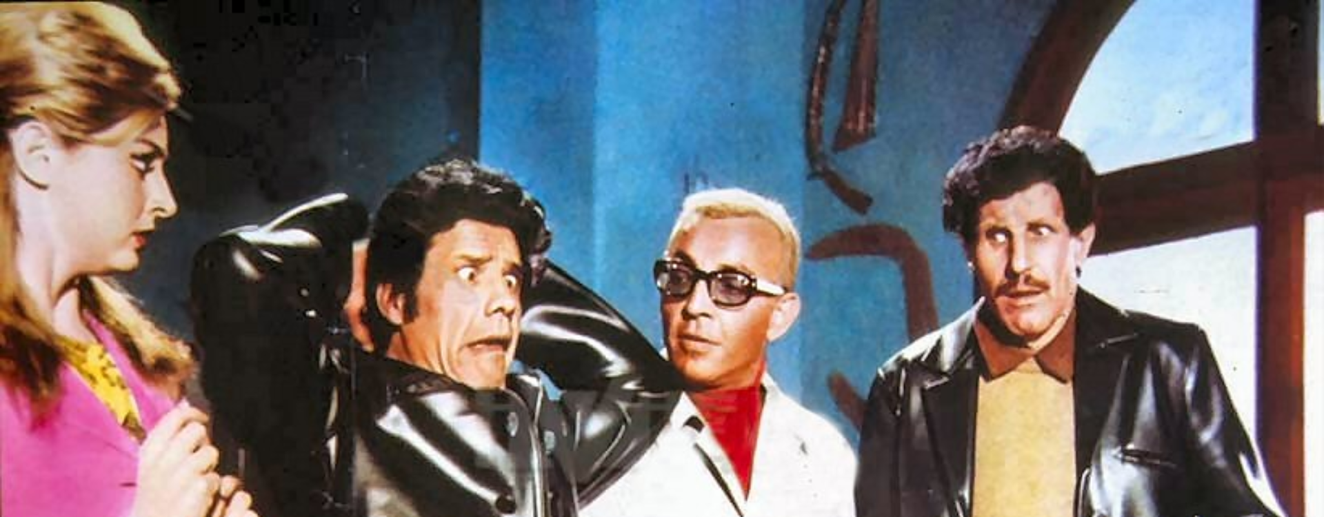 Il lungo, il corto, il gatto